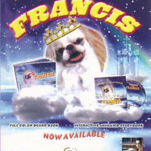 Lot of Childrens Board Books / A Day in the Life of Francis Age 1-7